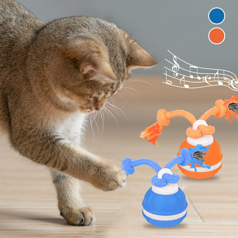 Interactive Pet Rolling Ball Toy USB Rechargeable